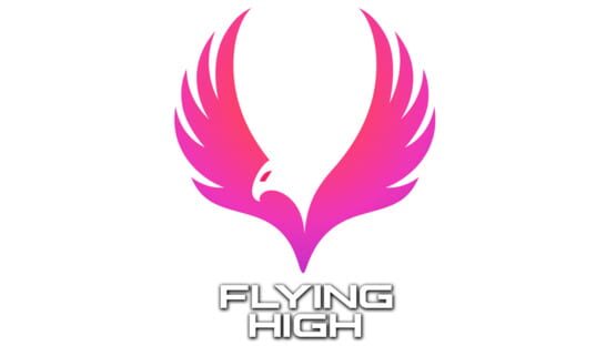 Flying High screenshot 2