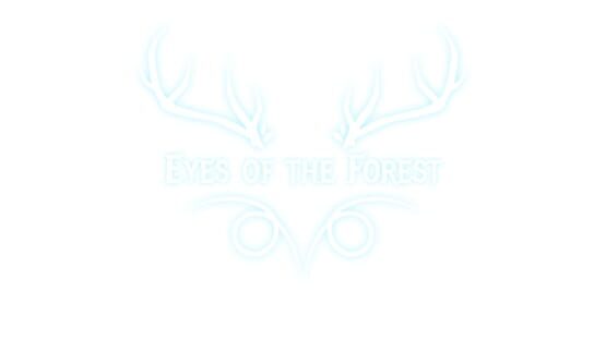 Eyes of the Forest official artwork 3