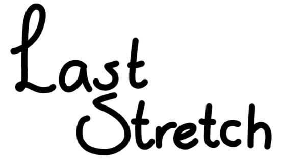 Last Stretch official artwork 2