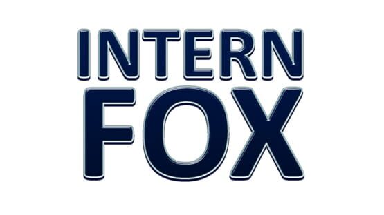 Intern Fox official artwork 2