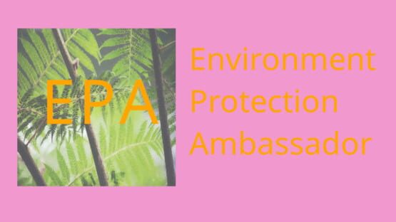 Environment Protection Ambassador official artwork 2