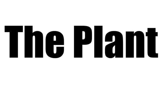 The Plant gameplay screenshot