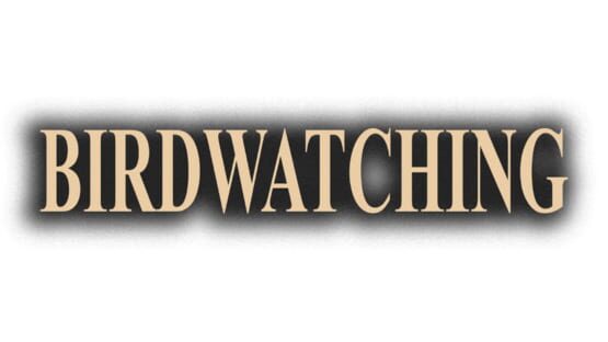 Birdwatching official artwork 2