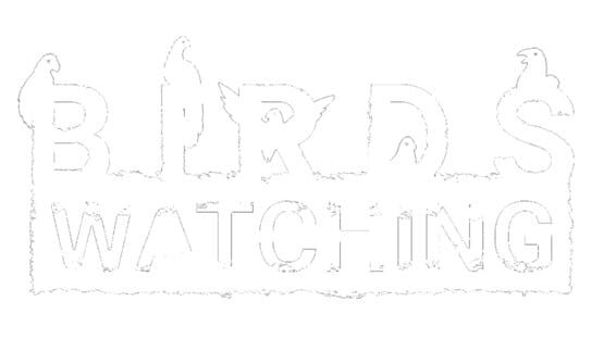 Birds Watching official artwork 2