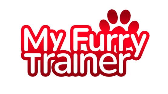 My Furry Trainer gameplay screenshot