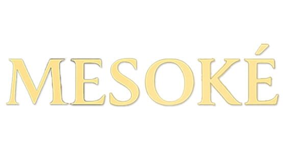 Mesoké official artwork 3