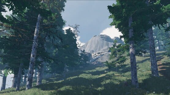 Distant Trails official artwork 1