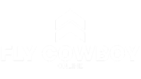 Fly Cowboy Online official artwork 2