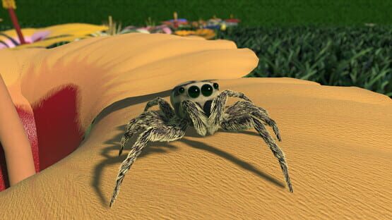 A little Jumpingspider's Garden Adventure (Day 1+2) official artwork 2