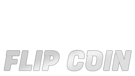 Flip Coin screenshot 2