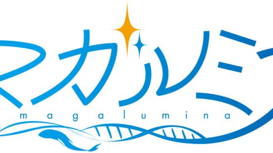 Magalumina official artwork 2