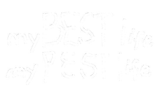My Best Life My Pest Life official artwork 2