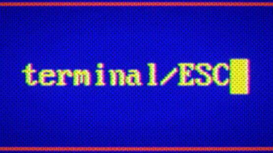 Terminal ESC official artwork 4