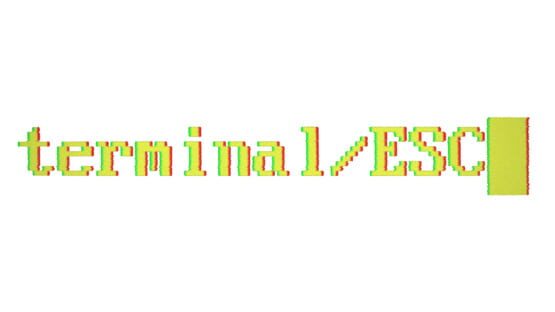 Terminal ESC official artwork 5