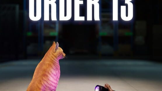 Order 13 official artwork 4