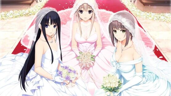 Niizuma Lovely x Cation official artwork 2