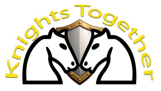 Knights Together gameplay screenshot