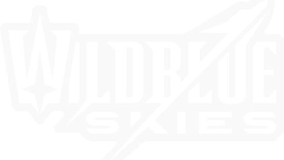 Wild Blue Skies - Artwork 2