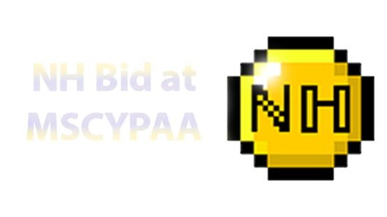 NH Bid at MSCYPAA: The Game official artwork 2