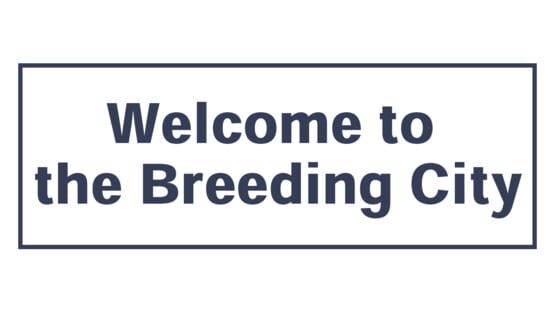 Breeding City Welcomes you official artwork 2