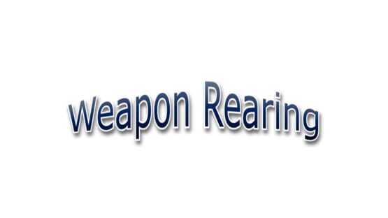 Weapon Rearing official artwork 3