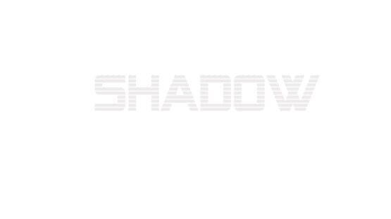 Shadow President screenshot 2
