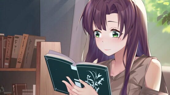 Serendipity Bookshop gameplay screenshot