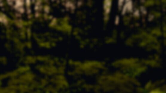KINGDOM CUM screenshot 1