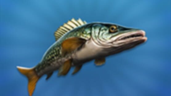 True Fishing 2 gameplay screenshot