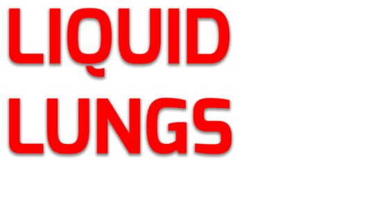 Liquid Lungs official artwork 2