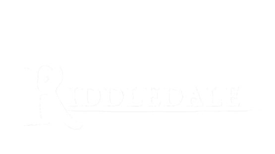 Riddledale official artwork 3