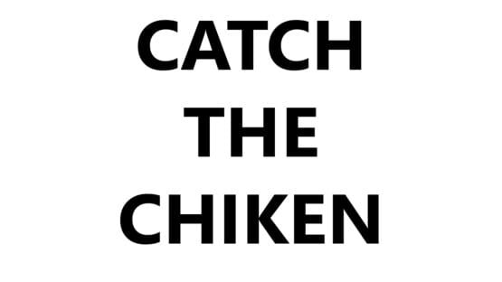 Catch the Chiken screenshot 4