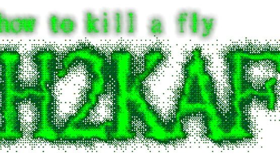 How to Kill a Fly official artwork 5