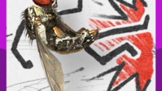 Fly Fu official artwork 4