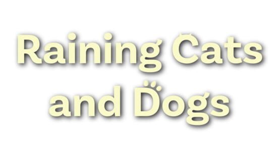 Raining Cats and Dogs official artwork 3