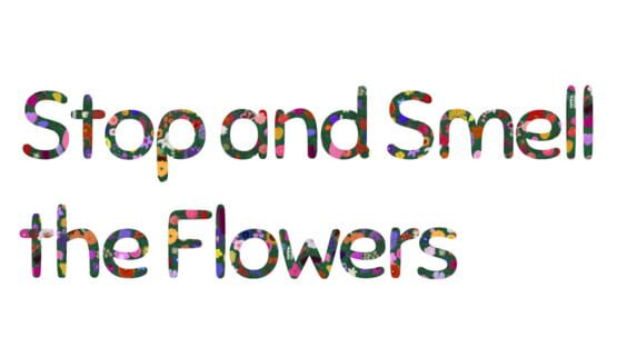 Stop and Smell the Flowers official artwork 3
