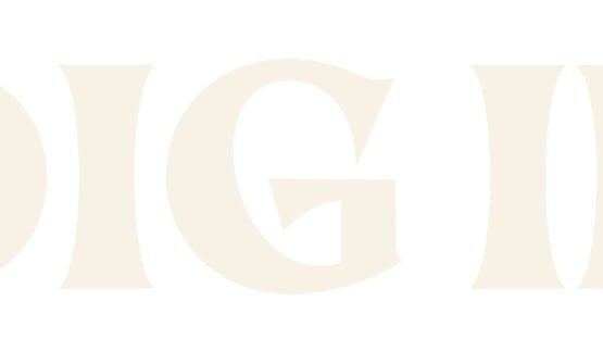 Dig In official artwork 3