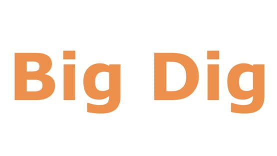Big Dig official artwork 2