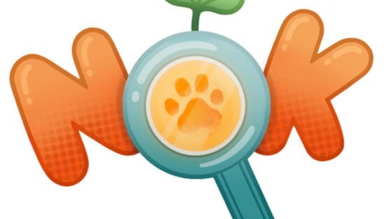 Nok official artwork 3