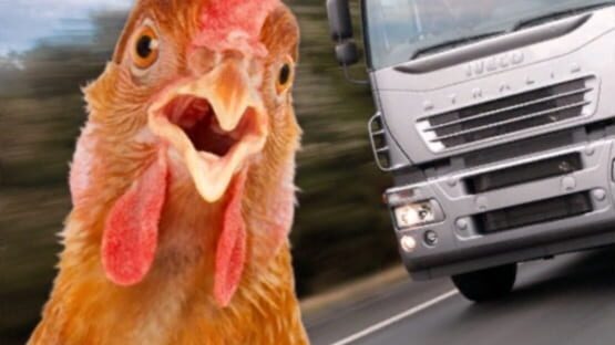 Chicken Royale — 1