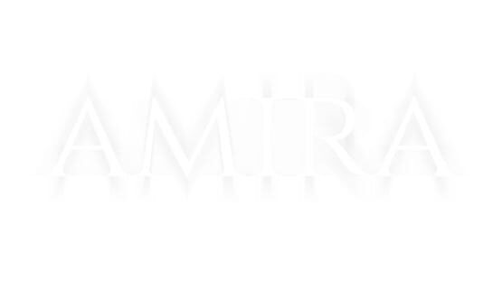 Stigma: The Salem Legacy official artwork 2
