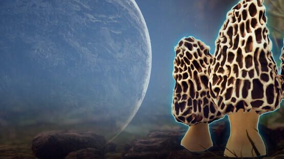 Morels: Out of this World official artwork 1