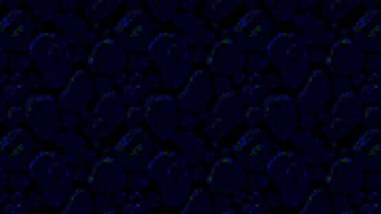 Chesst official artwork 1