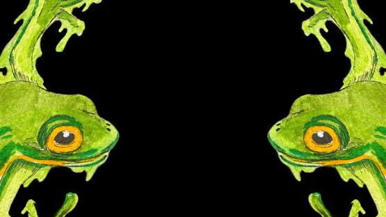 Grenouilles 3D official artwork 1