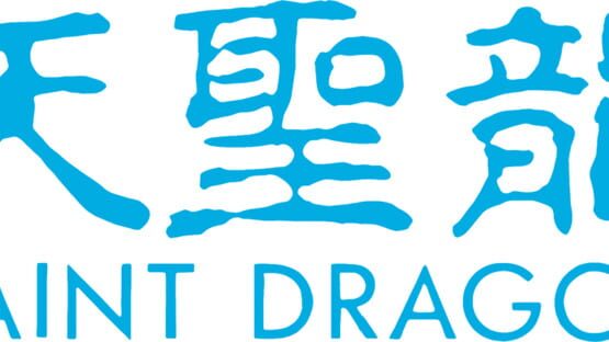 Saint Dragon official artwork 1