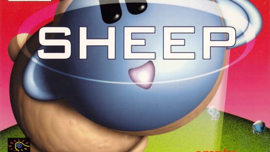 Sheep backdrop