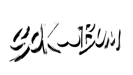 Sokobum gameplay screenshot