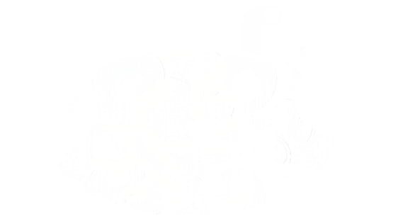 Peer Pressure official artwork 2