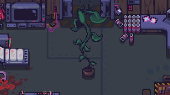 La Vida de Andrea gameplay screenshot