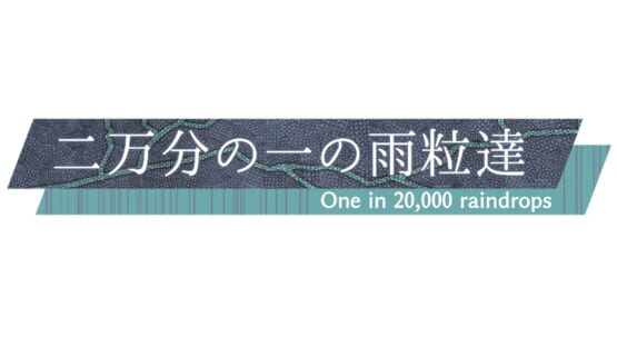 One in 20,000 Raindrops official artwork 2